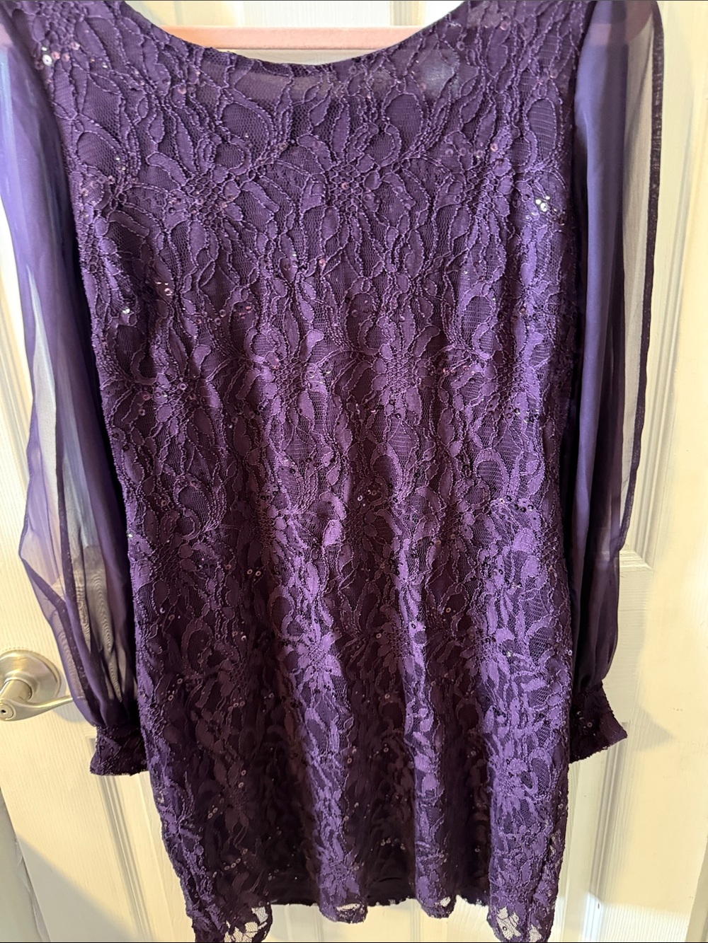 Elegant Lace Overlay Purple Women's Dress